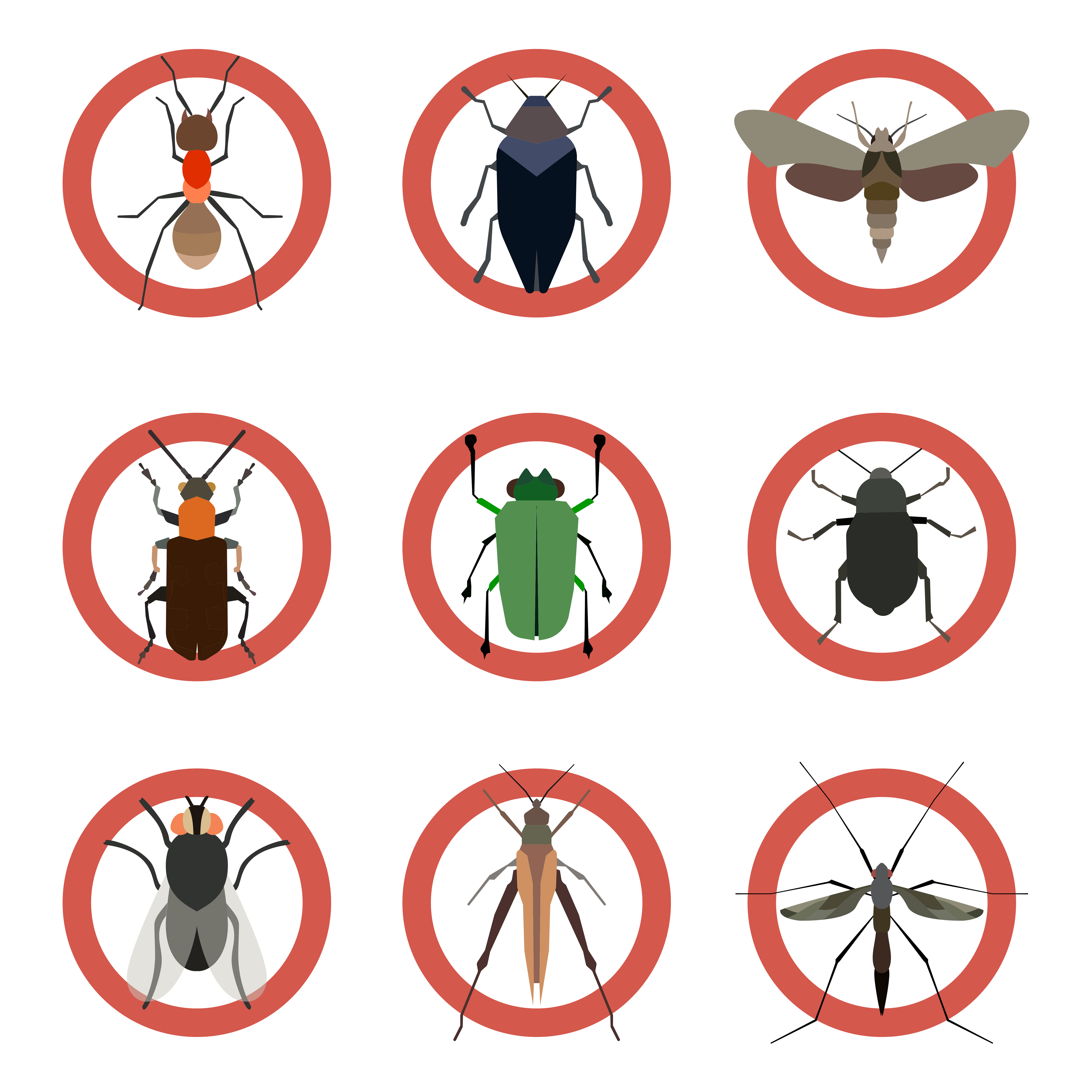 Best Pest Control Services in Lucknow – Termite, Cockroach, Mosquito Control